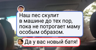 20 пушистых проказников, с которыми жизнь уже не будет прежней