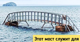 17 человек сфотографировали то, чем никак нельзя не похвастаться перед всем интернетом