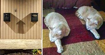 20+ случайных совпадений, которые доказывают, что наша матрица частенько дает сбои