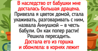 17 душевных историй о людях, способных вырастить розу из палки и найти счастье в цветочном горшке