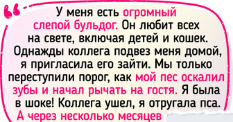 20 ярких доказательств того, что наши питомцы умнее, чем многим кажется