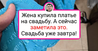 15+ человек, чьим нервам порой хочется позавидовать