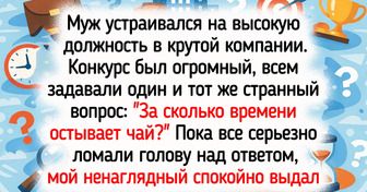 16 собеседований, которые прошли по всем стандартам комедии