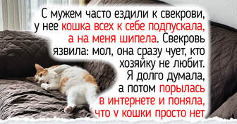 6 фактов о привычках кошек, которые сделают счастливее и вас, и вашего питомца
