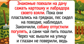 15 душевных историй с майских праздников, которые пахнут шашлычком и первыми грядками