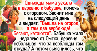 20 фото и историй о деревенском лете, где время замирает под стрекот сверчков и шепот старых берез