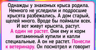 15 жизненных историй, которые поймут только те, у кого есть домашние любимцы