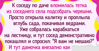 17 бедолаг, которые хотели культурно отдохнуть на даче, но тут объявились соседи