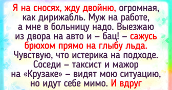 20+ добрых историй, от которых на душе распускаются подснежники