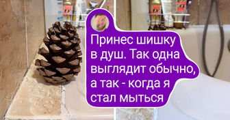 16 кадров, которые напоминают: жизнь прекрасна и удивительна прямо здесь и сейчас