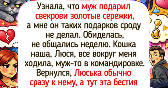 14 пушистиков, чья преданность порой покруче человеческой