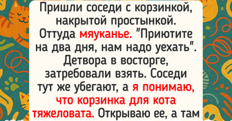 16 историй с юмором, где финал оказался таким же внезапным, как и конец лета