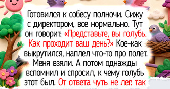 14 историй о собеседованиях, на которых кандидатов спасли не заученные ответы, а чувство юмора и честность