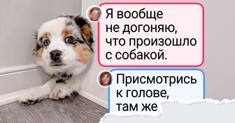 16 фотографий, которые выглядят, как сбой в матрице, но это наша с вами реальность