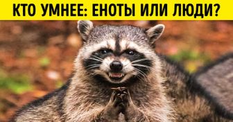 Эрудиция или интуиция: этот простой тест покажет, как легко обвести вас вокруг пальца