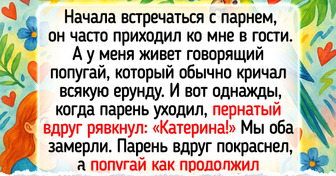 15 историй о том, как животные стали причиной настоящей любви и крепкой семьи