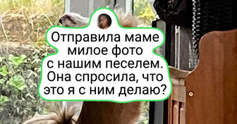 20 фото с подвохом, в которые придется всматриваться не один раз