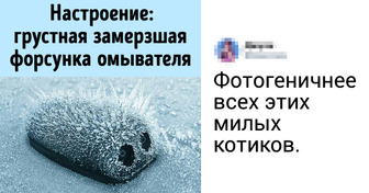 9 интернет-комментариев от людей с круглосуточным КВН в голове