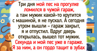 16 историй о внезапных сюрпризах, которые перевернули самый обычный день с ног на голову