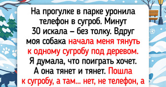 16 добрых поступков животных, которые позволяют нам многому у них поучиться