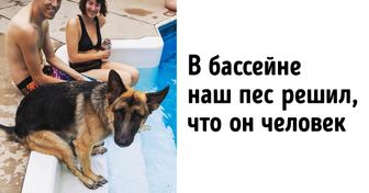 20 доказательств того, что домашние животные с каждым днем становятся все больше похожи на своих хозяев