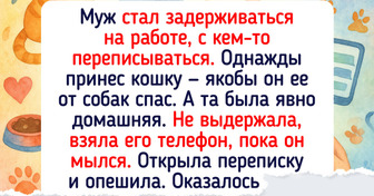 15 человек, которые даже не планировали заводить мурлыку. Но судьба решила их осчастливить