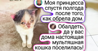Эти кадры растопят сердце: 24 пушистика и их хозяева «тогда и сейчас»