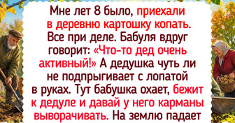 17 историй о деревне, где по утрам кукарекают петухи, а осенью пахнет сливовыми пирогами и хризантемами