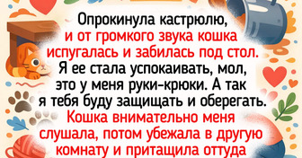 18 питомцев, которые установили в доме свои правила, а хозяева фонтанируют эмоциями