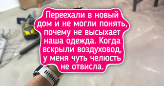 16 человек, для которых судьба приберегла пару «нежданчиков», и день перестал быть томным
