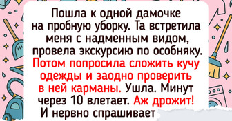 20+ клинеров честно рассказали о своей работе, и у нас аж шаблоны затрещали