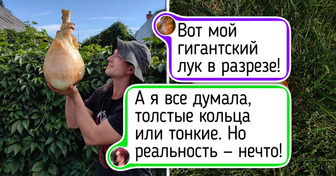 20+ ярких животных и растений, у которых, кажется, сломались настройки реальности