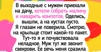 15 историй, в которых деньги стали лакмусовой бумажкой и кое-что рассказали о людях