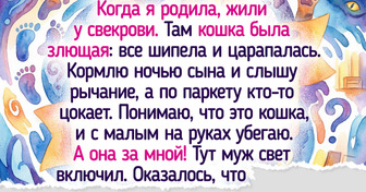 18 улетных историй о том, как наши любимые питомцы умеют навести шороху