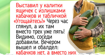 Дачник решил раздать лишний урожай, а получил взамен то, чего никак не ожидал