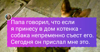 20+ человек, которые думали, что не любят животных, а потом их сердца похитили котики с собачками