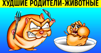 11 самых нерадивых родителей в мире животных