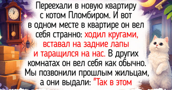 20+ жизненных историй о переезде в новое жилье, чьи стены хранили не только тепло, но и нежданные приветы из прошлого