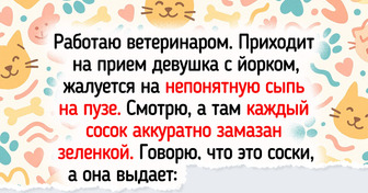 Ветеринары рассказали о питомцах и их хозяевах, которых не забыть ни в какую