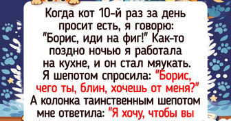 15+ историй о гаджетах, которые решили проявить немного чувства юмора