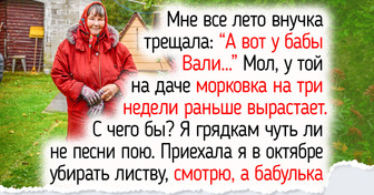 7 дел на даче в октябре, после которых весной участок встретит вас цветами, а урожай поспеет раньше