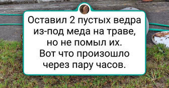 15 человек, которые стали свидетелями выкрутасов природы