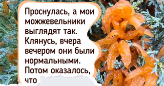16 фото, показывающих, что странности могут подстерегать нас где угодно
