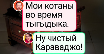 18 случайных снимков, в которых эстетики больше, чем в иных музейных полотнах