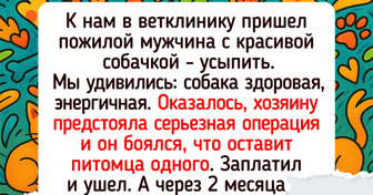 25 примеров дружбы животных и людей, которые докажут, что любовь не знает границ