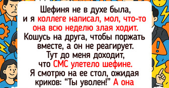 15+ раз, когда люди отправили сообщение не в тот чат — и понеслось