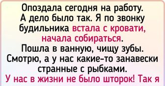 20 человек, у которых есть для опозданий причины покруче, чем заурядное «я проспал»