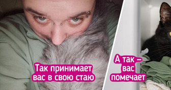 11 признаков того, что ваш домашний питомец на седьмом небе от счастья рядом с вами