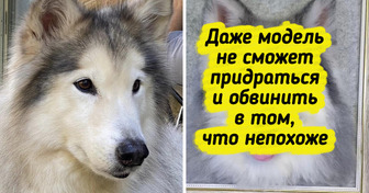 20+ творений ручной работы, на которые захочется взглянуть дважды, настолько они реалистичны