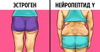 Как обмануть гормоны, из-за которых мы набираем лишний вес